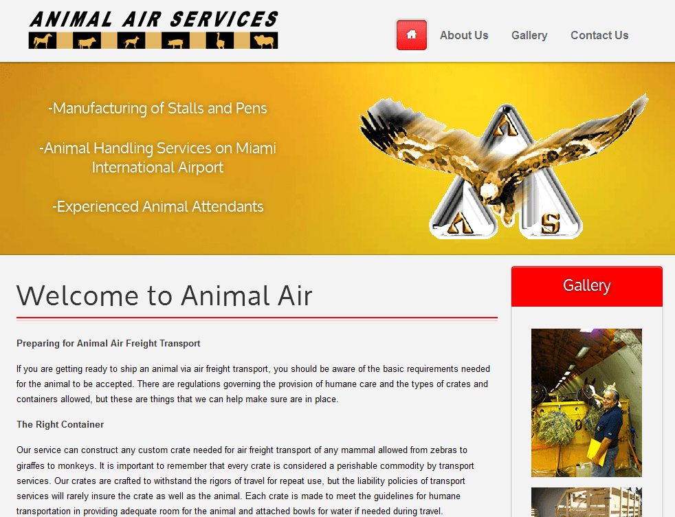 miami web design