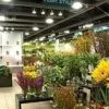 Miami flower market Miami flower market