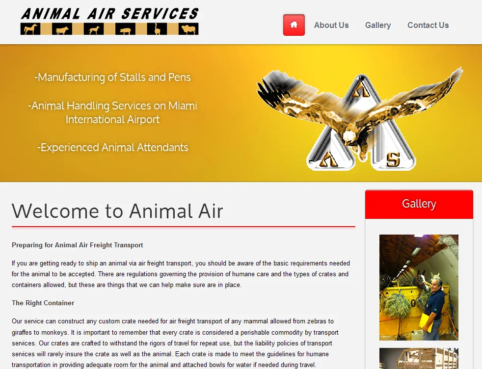 miami web design
