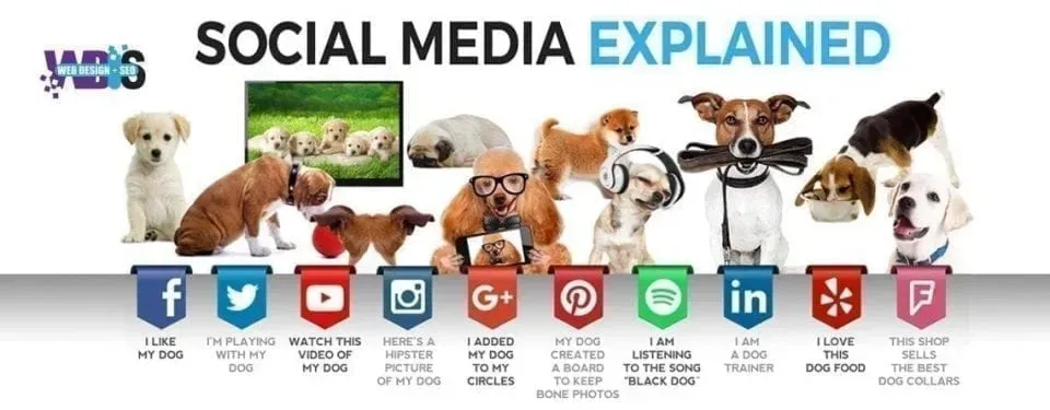 Web Design and SEO Use social media platforms to help your business in